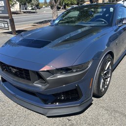 24 Dark Horse Mustang 24 Dark Horse Mustang