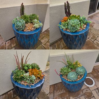 Ashley Farrell Landscape Design - Landscape Architects or Designers Near Me - Santa Barbara, California