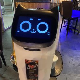 Cat robot that brings your food Cat robot that brings your food
