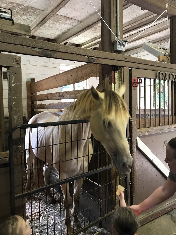 Solly Stables - equestrian in Philadelphia, PA