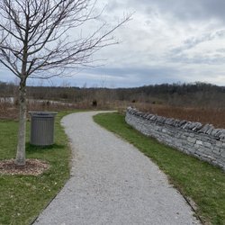 North Wetland
