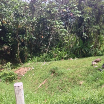El Yunque Rainforest - Great view - Hiking Near Me - Luquillo, Puerto Rico