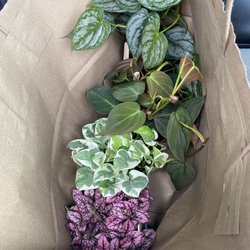 Ironweed Gifts and Floral