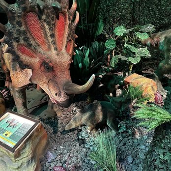 Dinos Alive - Dinosaur - Children's Museums Near Me - Washington, DC, District of Columbia Dinos Alive - Dinosaur - Children's Museums Near Me - Washington, DC, District of Columbia