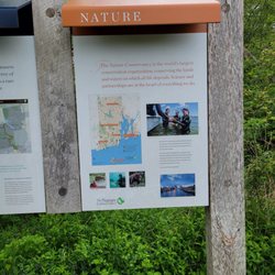 Dundery Brook Trail