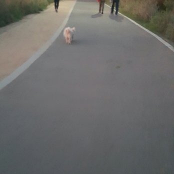 Haster Basin Park - Dog was happily walking the track - Parks Near Me - Garden Grove, California Haster Basin Park - Dog was happily walking the track - Parks Near Me - Garden Grove, California