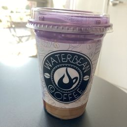 Paradise Iced Latte Paradise Iced Latte