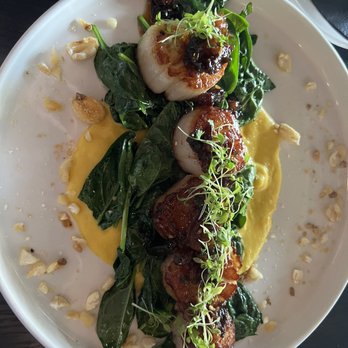 Pearl & Vine - Scallops - New American Near Me - Katy, Texas Pearl & Vine - Scallops - New American Near Me - Katy, Texas
