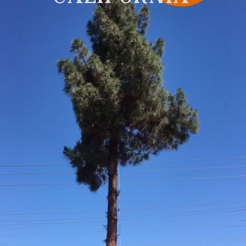 MTS Landscape - Landscaping Near Me - Moreno Valley, California MTS Landscape - Landscaping Near Me - Moreno Valley, California