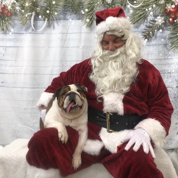 Pet Helpers - Kevin and Santa - Animal Shelters Near Me - Charleston, South Carolina