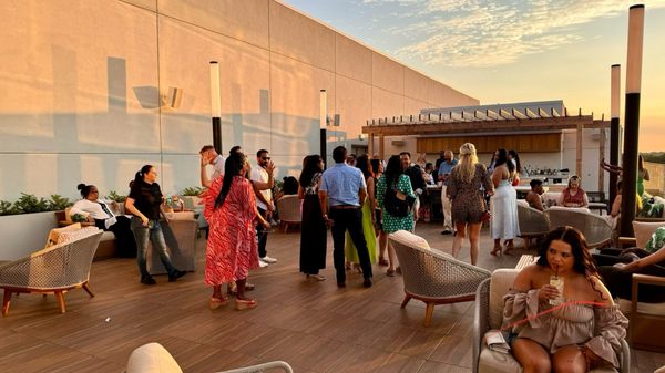 Overstory Rooftop Bar by null