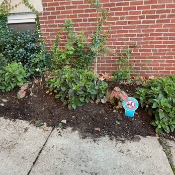 Weston Nurseries - The image shows a garden bed with multiple green shrubs and flowering plants, positioned against a red brick wall. The soil appears freshly turned, and there are small signs placed among the plants, likely indicating plant care instructions or restrictions. The garden bed borders a concrete sidewalk, with some leaves scattered on the ground. - Nurseries & Gardening Near Me - Chelmsford, Massachusetts