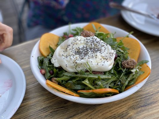 Malibu Farm Lido by null