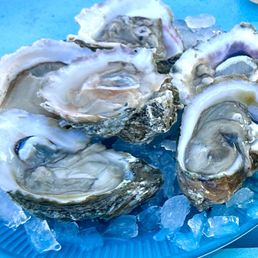 Raw oysters on the half-shell Raw oysters on the half-shell