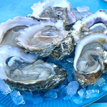 Hookin' Ain't Easy Seafood - Raw oysters on the half-shell - Seafood Near Me - St Petersburg, Florida Hookin' Ain't Easy Seafood - Raw oysters on the half-shell - Seafood Near Me - St Petersburg, Florida