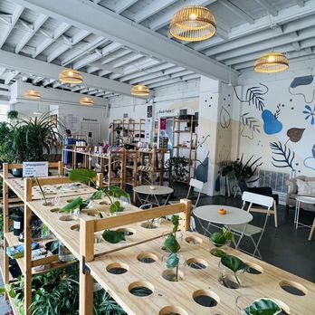Jacks Coffee & Plants - Loved the selection of plants for purchase. - Coffee & Tea Near Me - Knoxville, Tennessee