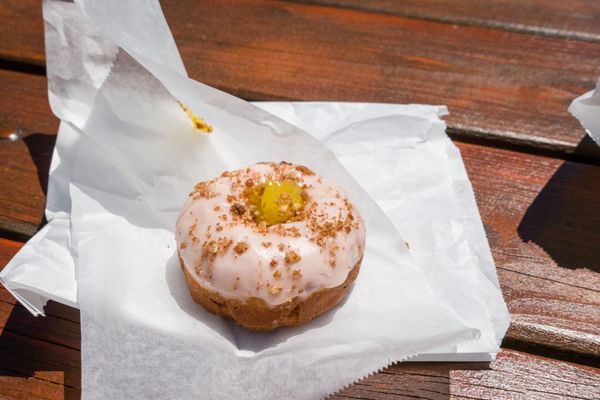 SPARK Social SF by null