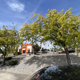 Exterior photo of ABA Landscaping Exterior photo of ABA Landscaping