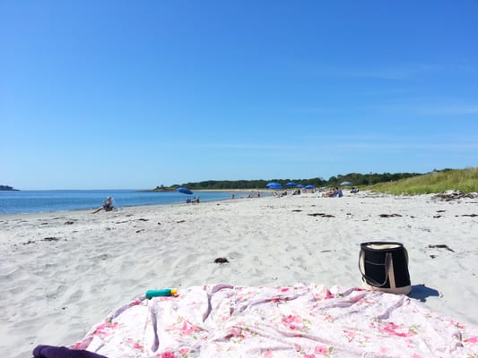 Crescent Beach State Park by null