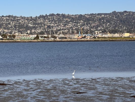 Cesar Chavez Park by null