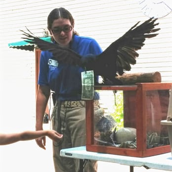 World Bird Sanctuary - Itachi Uchiha's crow knows how to take money from kids. - Parks Near Me - Valley Park, Missouri