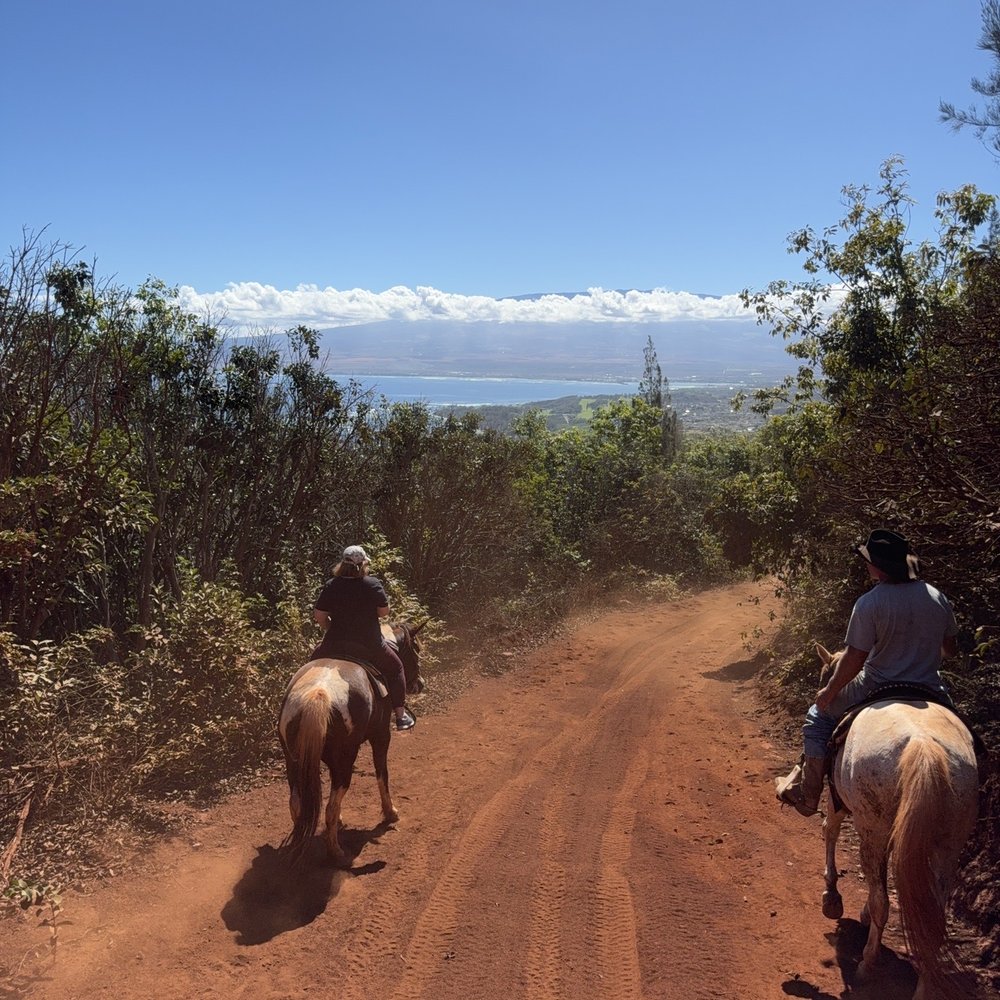 Maui Mountain Activities - Horseback Riding Near Me - Wailuku, Hawaii