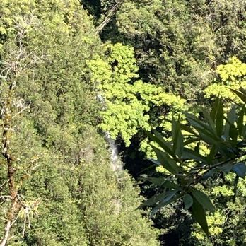 Akaka Falls State Park - Parks Near Me - Honomu, Hawaii Akaka Falls State Park - Parks Near Me - Honomu, Hawaii