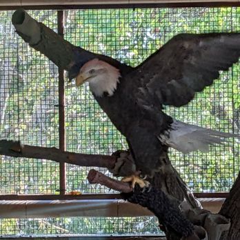 Lindsay Wildlife Experience - Museums Near Me - Walnut Creek, California Lindsay Wildlife Experience - Museums Near Me - Walnut Creek, California
