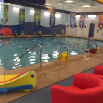 Aqua-Tots Swim School Lone Tree - Yes- there is a pool - Swimming Lessons/Schools Near Me - Lone Tree, Colorado