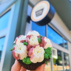 Molly's Cupcakes