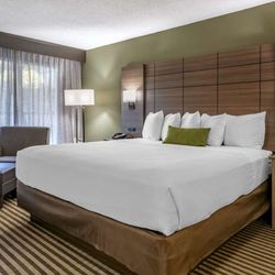 Best Western Downtown Stuart - King XL