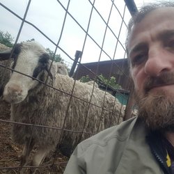 Smartphone Klinik - Mein bester Freund