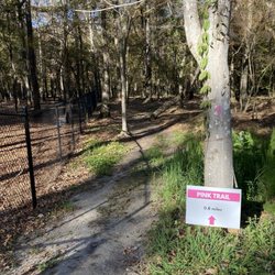 Pine Trace Park