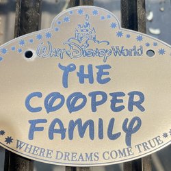 Personalized acrylic Disney Style Stroller, wheelchair, ECV tag - multiple colors available