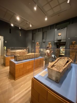 Michael C. Carlos Museum by null