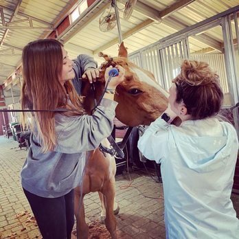 Breakaway Farms - Horseback Riding Near Me - Reno, Nevada