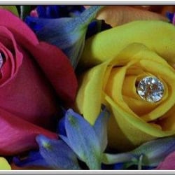 Pamela's Flowers