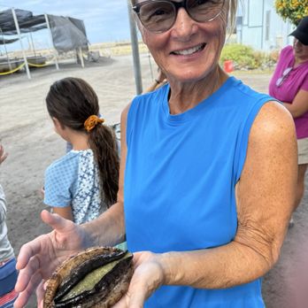 Big Island Abalone - A hands-on experience holding a live abalone. - Food Tours Near Me - Kailua Kona, Hawaii Big Island Abalone - A hands-on experience holding a live abalone. - Food Tours Near Me - Kailua Kona, Hawaii