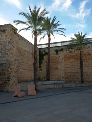 Es Baluard Museu d'Art Contemporani de Palma by null