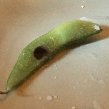 Drunken Monkey - We found a worm in the there... lovely. - Japanese Near Me - Truckee, California