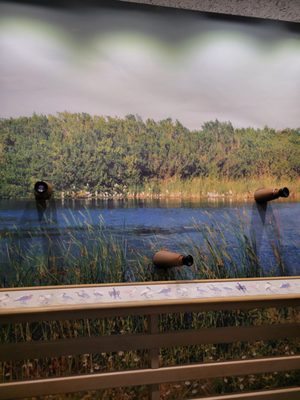 Ernest F. Coe Visitor Center by null