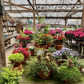 HALF MOON BAY NURSERY - Updated February 2026 - 890 Photos & 351