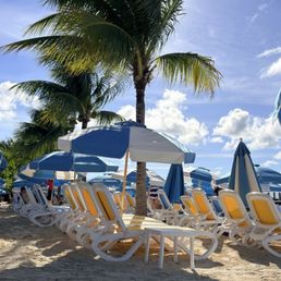 Palm trees/beach Palm trees/beach
