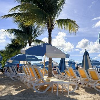 Perfect Day at CocoCay - Palm trees/beach - Vacation Rentals Near Me - Weslaco, Texas Perfect Day at CocoCay - Palm trees/beach - Vacation Rentals Near Me - Weslaco, Texas