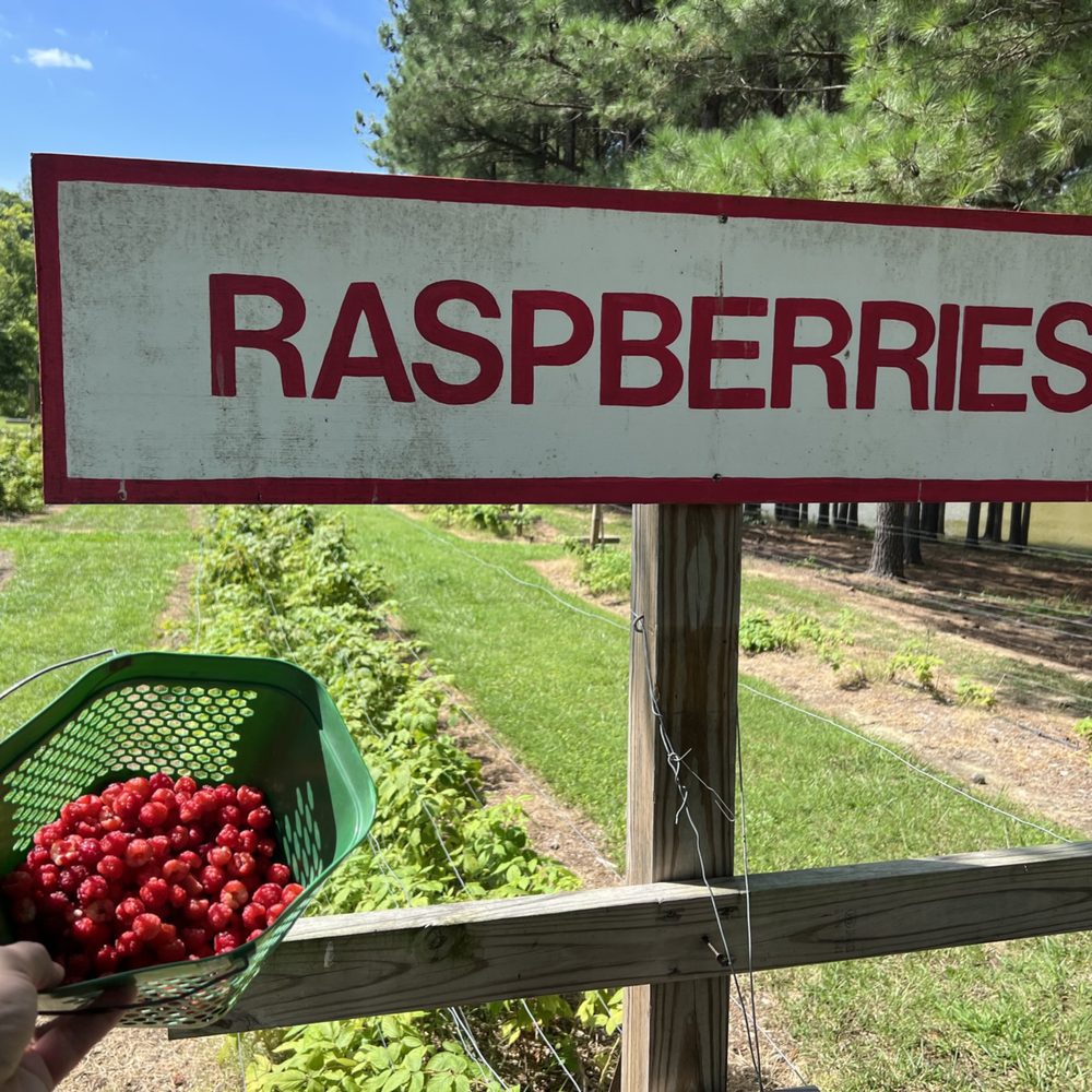 Millstone Creek Orchards - Fruits & Veggies Near Me - Ramseur, North Carolina Millstone Creek Orchards - Fruits & Veggies Near Me - Ramseur, North Carolina