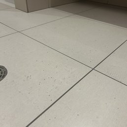 Flies everywhere!!! (Pool bathroom)