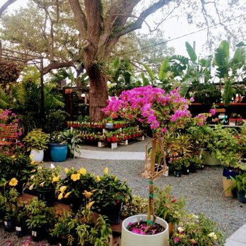 MiMo Garden Center - Nurseries & Gardening Near Me - Miami, Florida MiMo Garden Center - Nurseries & Gardening Near Me - Miami, Florida