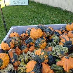 Wilfert Farms - Unique gourds