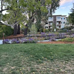 City of Larkspur