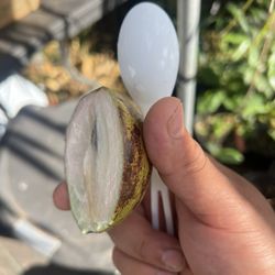Ascension Bar - Star apple